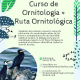 curso ornitologia malaga sfera