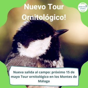 nuevo tour ornitologico montes malaga sfera