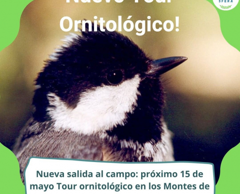 nuevo tour ornitologico montes malaga sfera